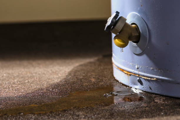 Best Water damage restoration near me  in Gilcrest, CO