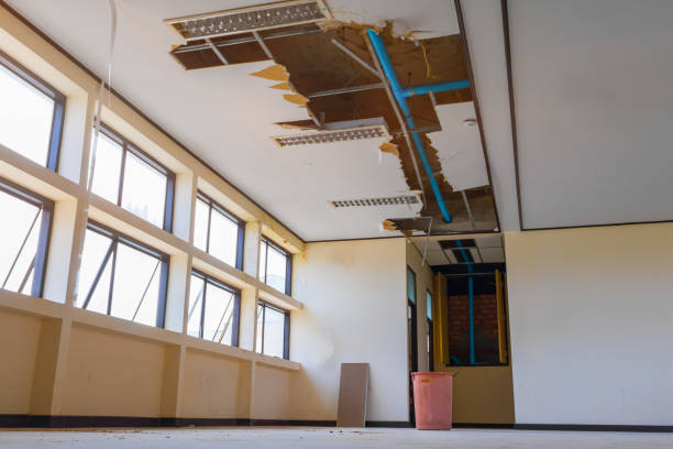 Best Flood restoration services  in Gilcrest, CO
