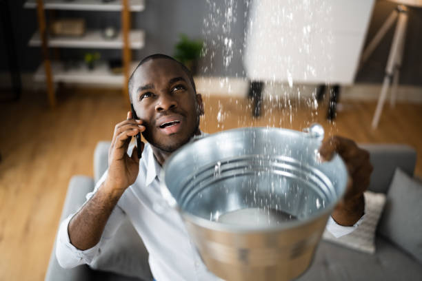 Best Water damage contractors near me  in Gilcrest, CO