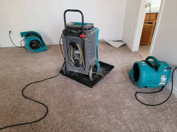 Best 24-hour water damage restoration  in Gilcrest, CO