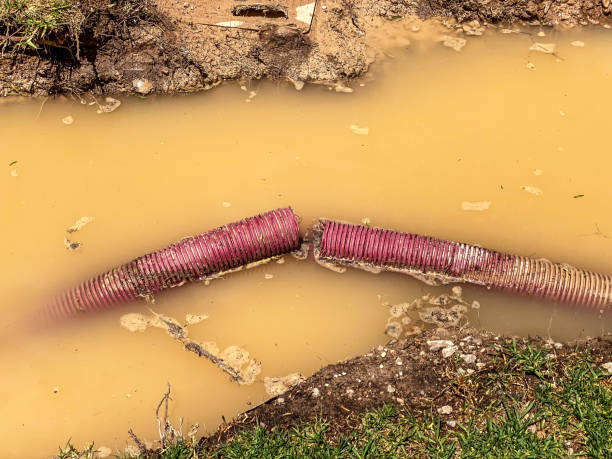 Best Water damage cleanup near me  in Gilcrest, CO